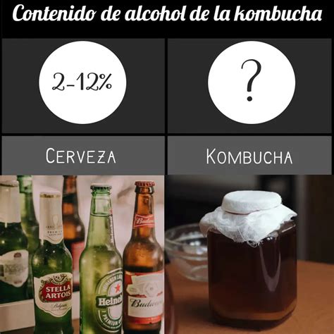kombucha alcohol percentage